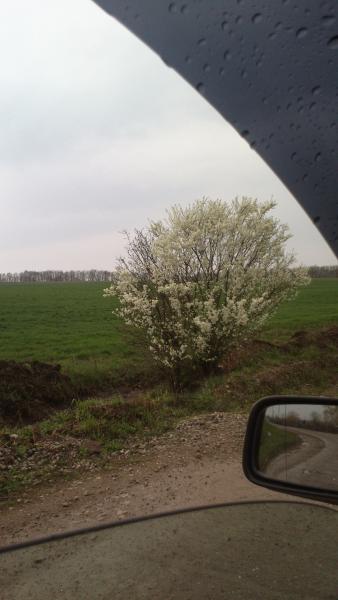 Прикрепленное изображение