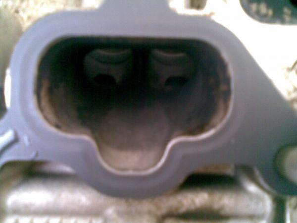 ������������� �����������