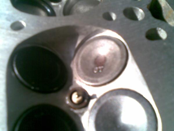 ������������� �����������