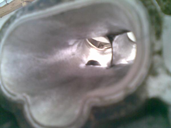 ������������� �����������