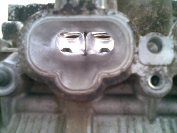 ������������� �����������