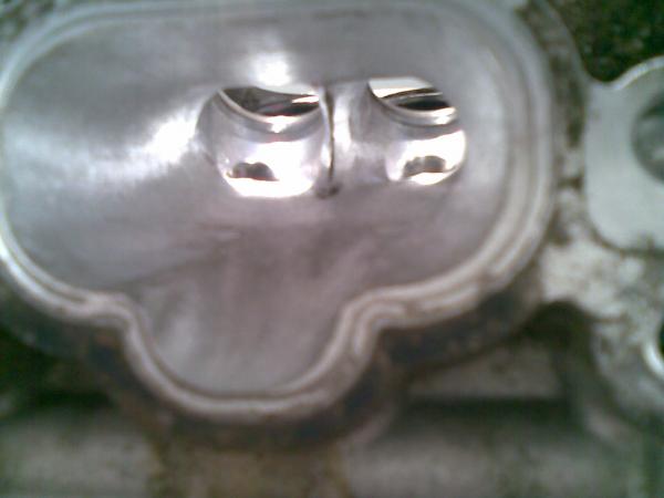 ������������� �����������