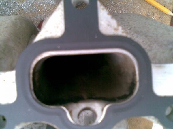 ������������� �����������